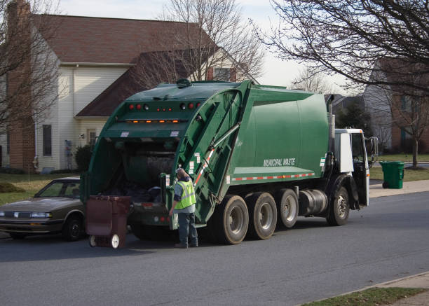 Best Shed Removal in USA